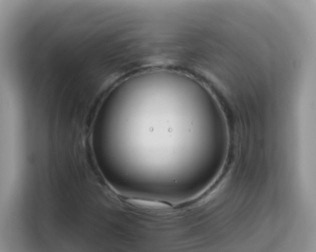 X0000114201257200910091245