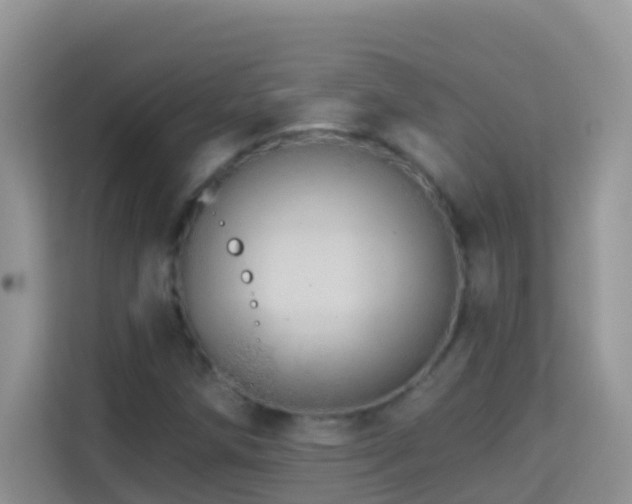 X0000114201258200910091245