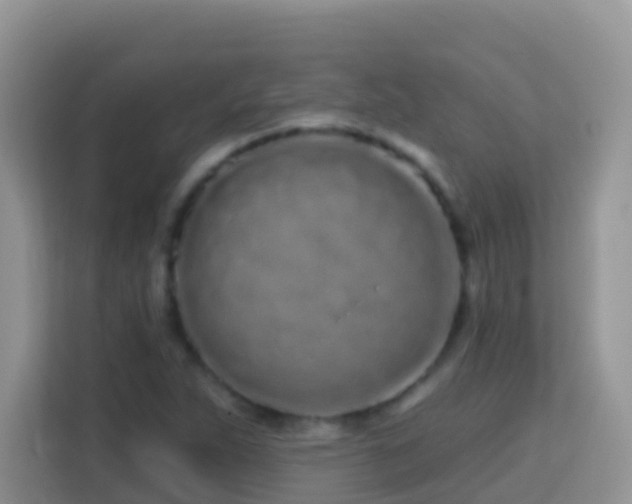 X0000114201263200910091245