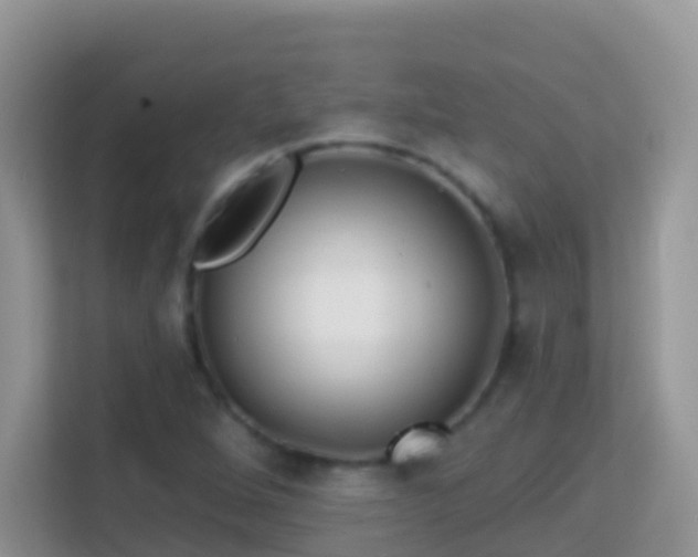 X0000114201264200910091245