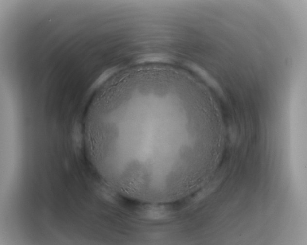 X0000114201266200910091245