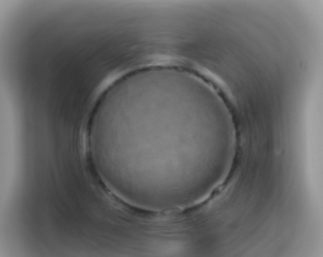 X0000114201267200910091245