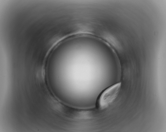 X0000114201268200910091245