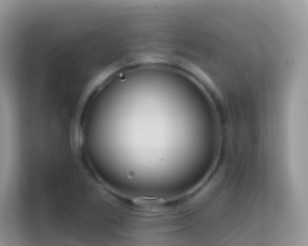 X0000114201269200910091245