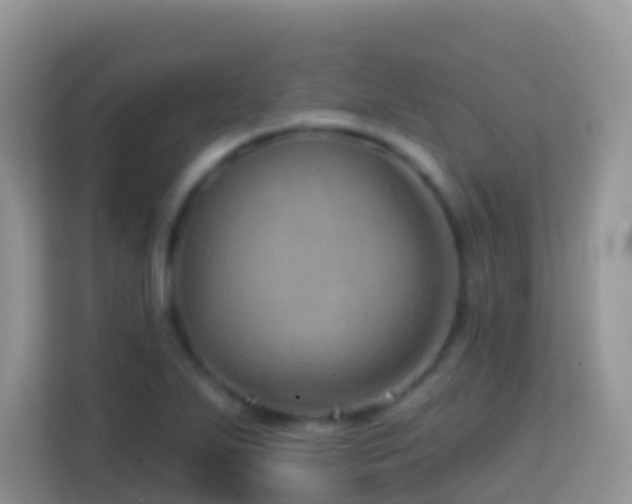 X0000114201271200910091245
