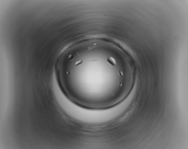 X0000114201273200910091245