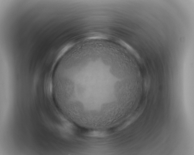 X0000114201274200910091245