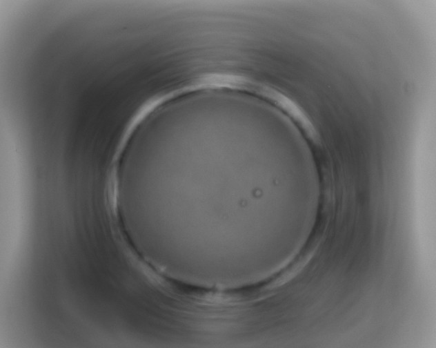 X0000114201275200910091245