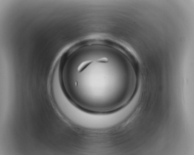 X0000114201277200910091245