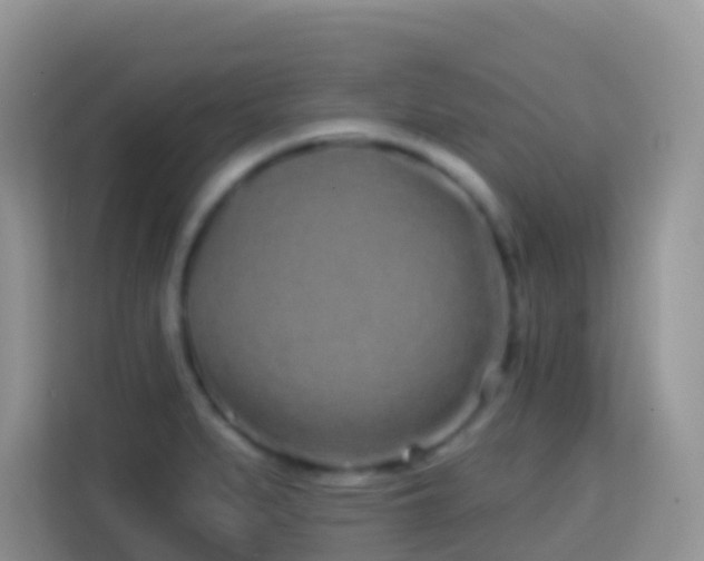 X0000114201279200910091245