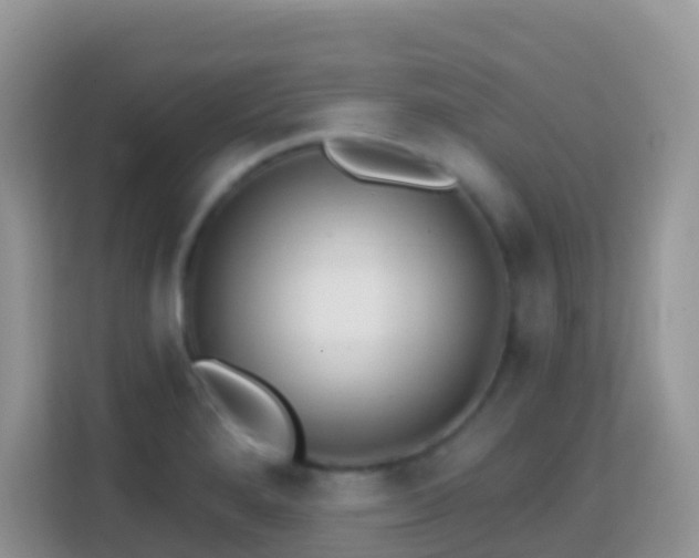 X0000114201280200910091245