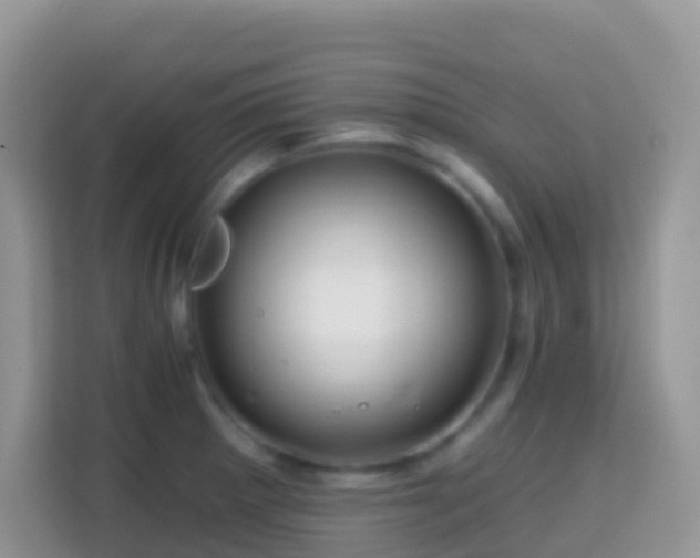 X0000114201281200910091245