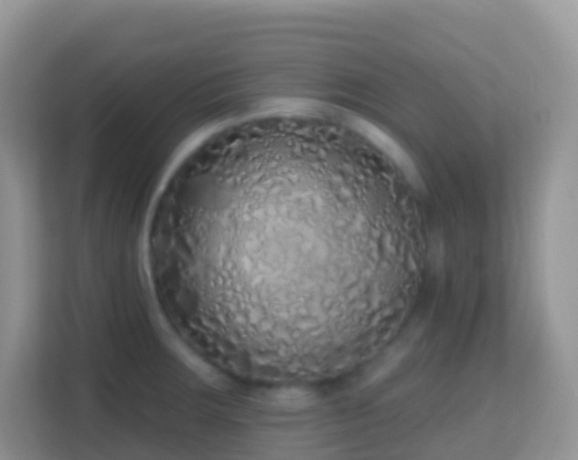 X0000114201283200910091245