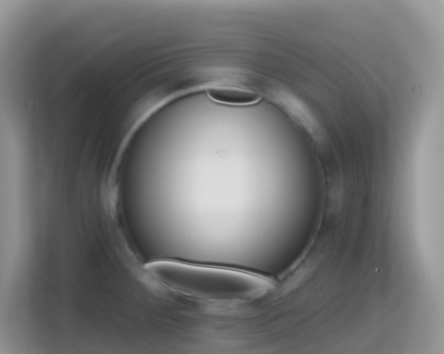 X0000114201284200910091245