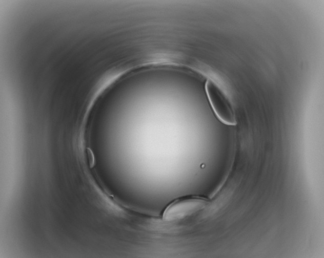X0000114201285200910091245