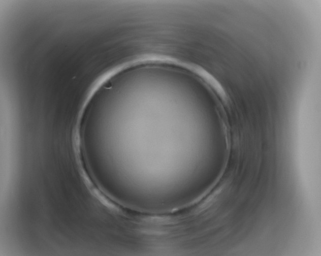 X0000114201287200910091245