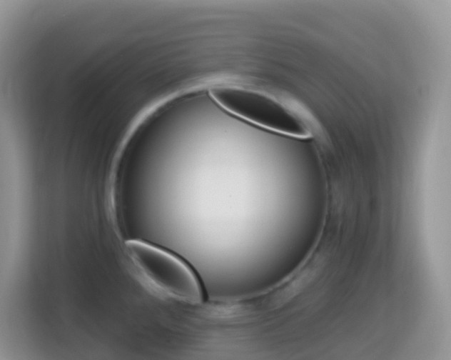 X0000114201288200910091245