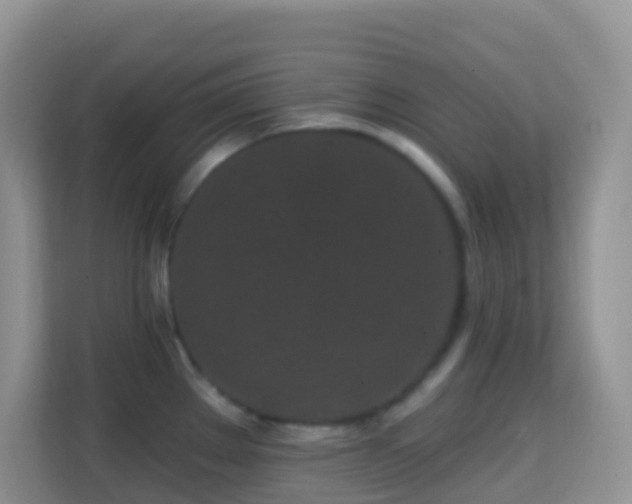 X0000114201289200910091245