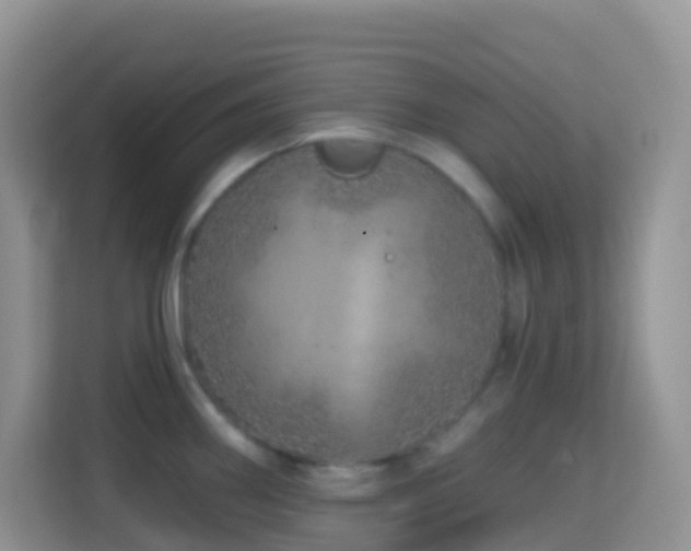 X0000114201290200910091245