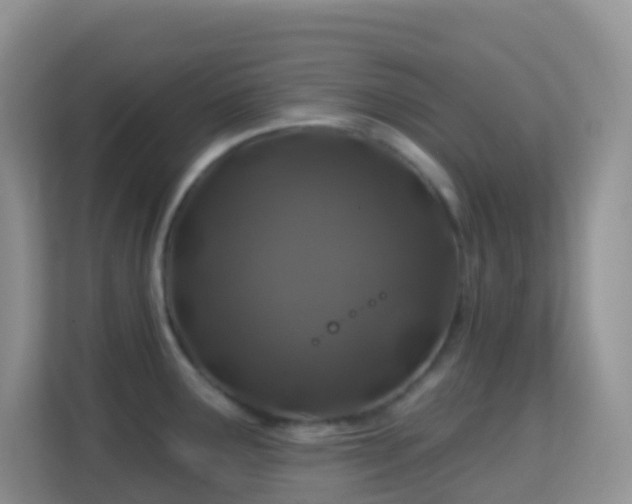 X0000114201291200910091245