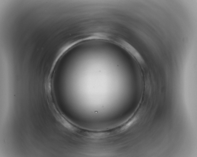 X0000114201292200910091245