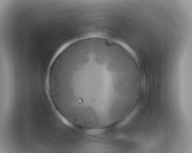 X0000114201294200910091245