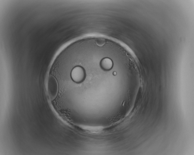X0000114201295200910091245