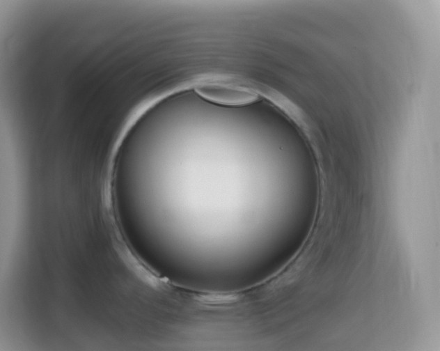 X0000114201296200910091245