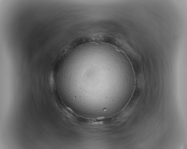 X0000114201298200910091244