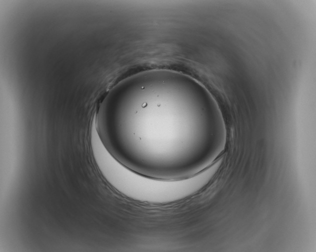 X0000114201300200910091244