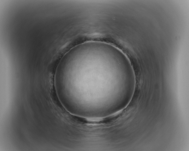 X0000114201301200910091244