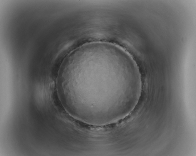 X0000114201302200910091244
