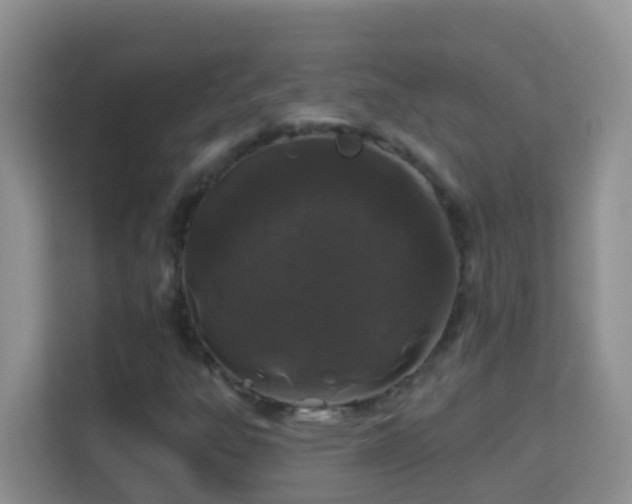 X0000114201303200910091244