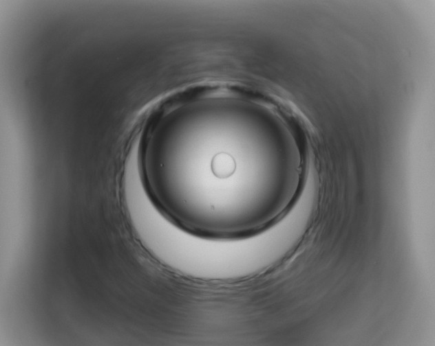 X0000114201304200910091244