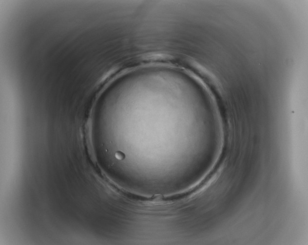 X0000114201305200910091244