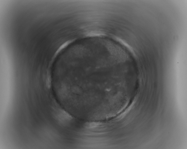 X0000114201306200910091244