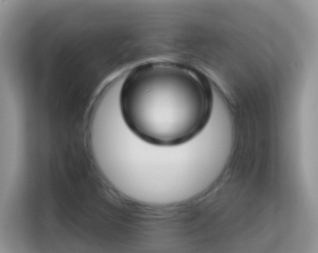 X0000114201308200910091244
