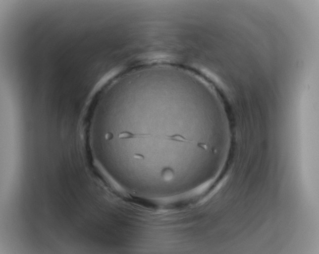 X0000114201309200910091244