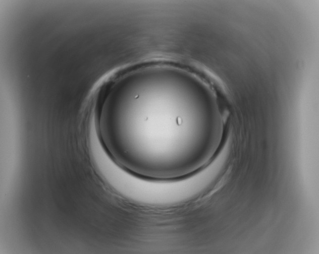 X0000114201310200910091244