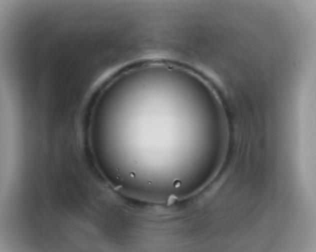 X0000114201311200910091244