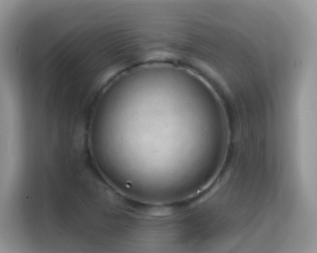 X0000114201313200910091244