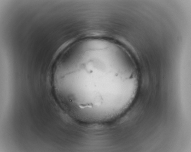 X0000114201314200910091244