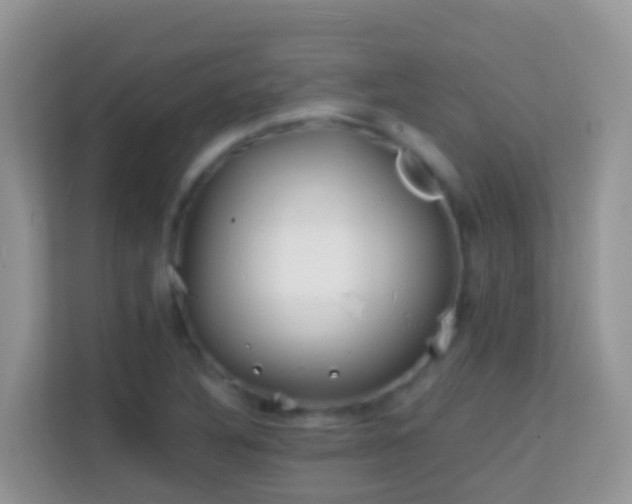 X0000114201316200910091244