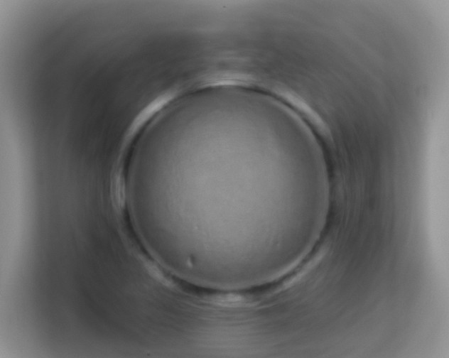 X0000114201317200910091244
