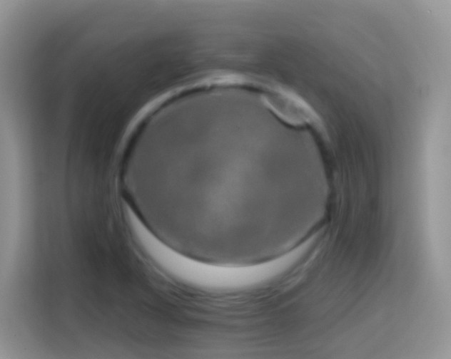 X0000114201318200910091244