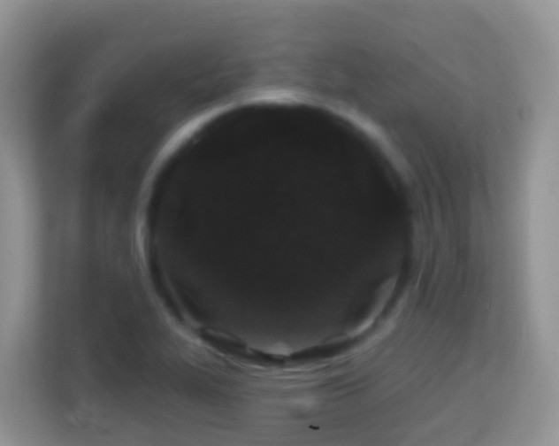 X0000114201319200910091244