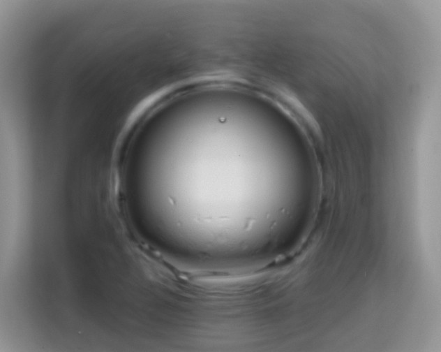 X0000114201320200910091244
