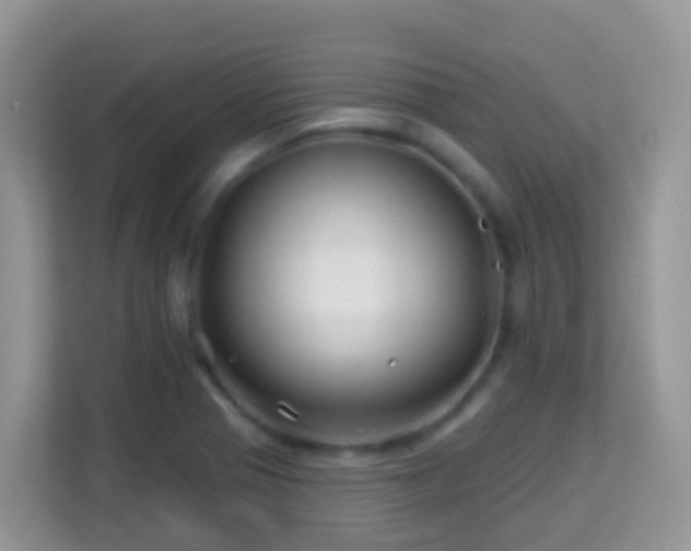 X0000114201321200910091244