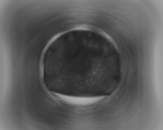 X0000114201323200910091245