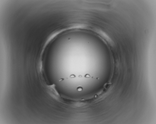 X0000114201324200910091245